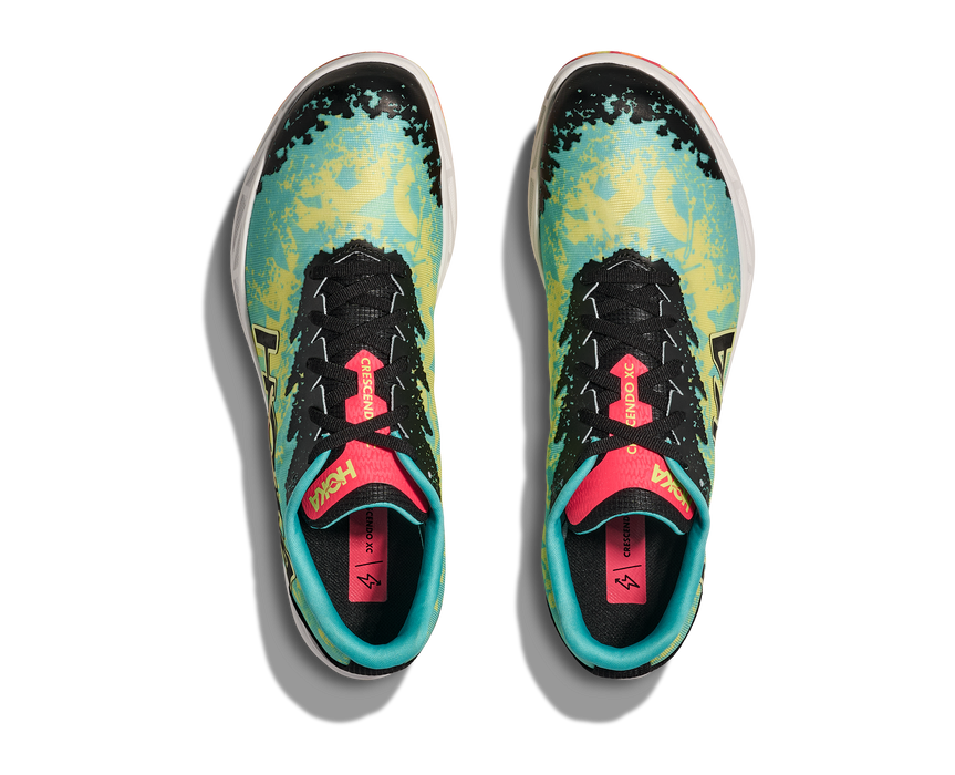 Unisex Crescendo XC Spikes (CYZ - Cielo Blue/Yuzu)