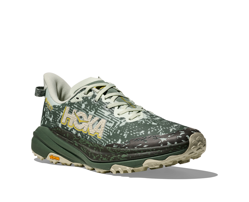 Men's Speedgoat 6 GTX (SFRN - Sea Glass/Fern)