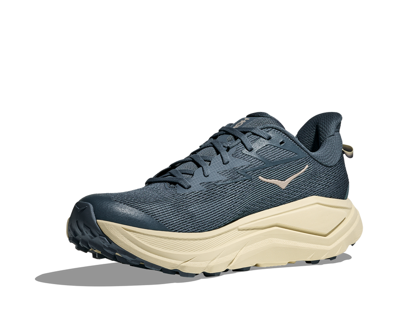 Men's Challenger 8 (FYP - Faded Navy/Pampass Grass)