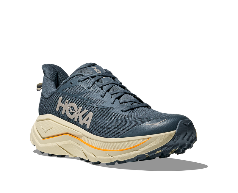 Men's Challenger 8 (FYP - Faded Navy/Pampass Grass)