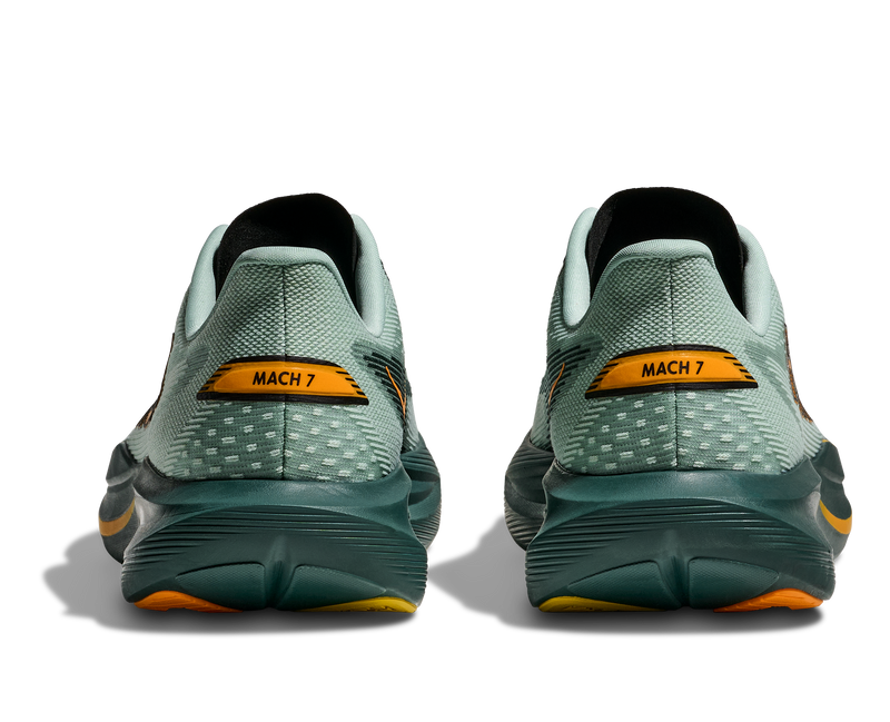 Men's Mach 7 (SBY - Sage/Bay Leaf)