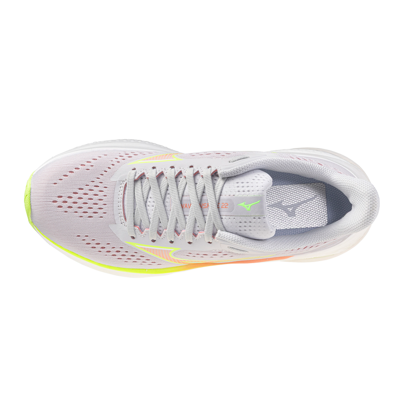 Women's Wave Inspire 22 (7N2N - Cloudscape/Desert Flower)