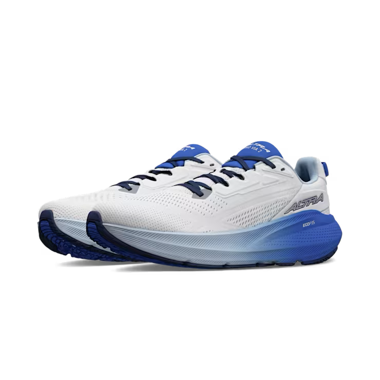 Men's FWD Via 2 (420 - Blue/Gray)