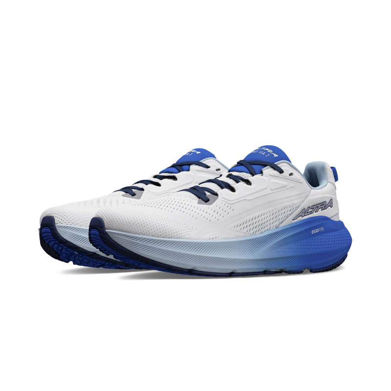 Men's FWD Via 2 (420 - Blue/Gray)