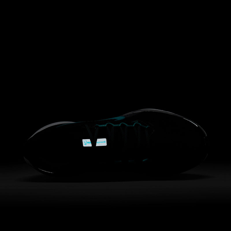 Men's Pegasus 41 (007 - Black/Dusty Cactus-Cool Grey-White)