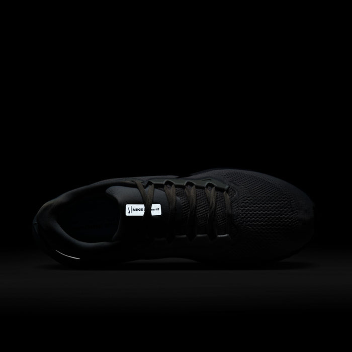 Men's Pegasus 41 (015 - Pure Platinum/Anthracite-LT Armory Blue)