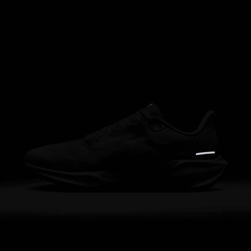 Men's Pegasus 41 (102 - White/White-Pure Platinum)