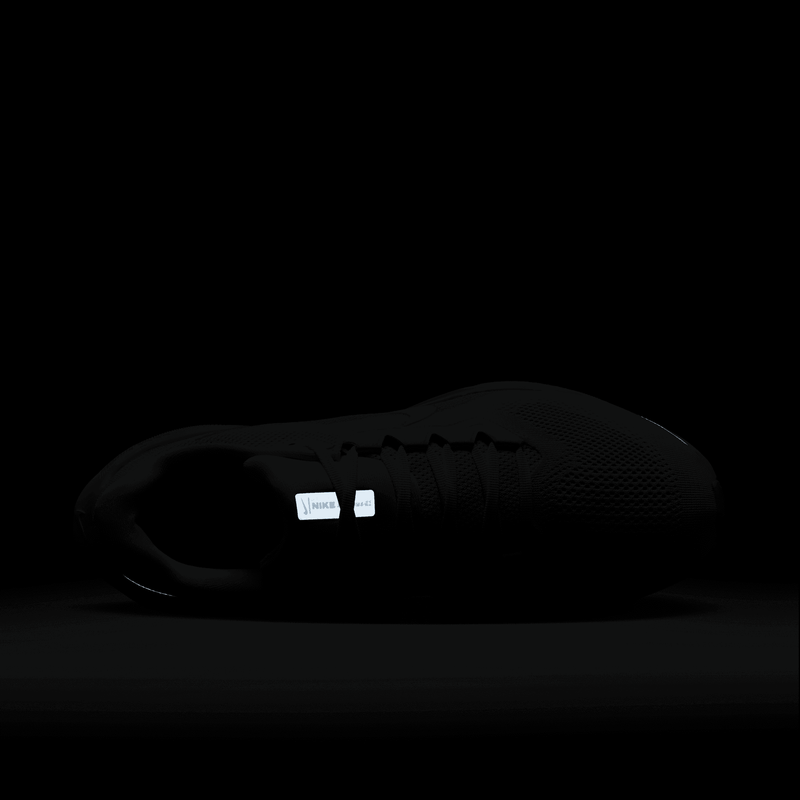 Men's Pegasus 41 (102 - White/White-Pure Platinum)