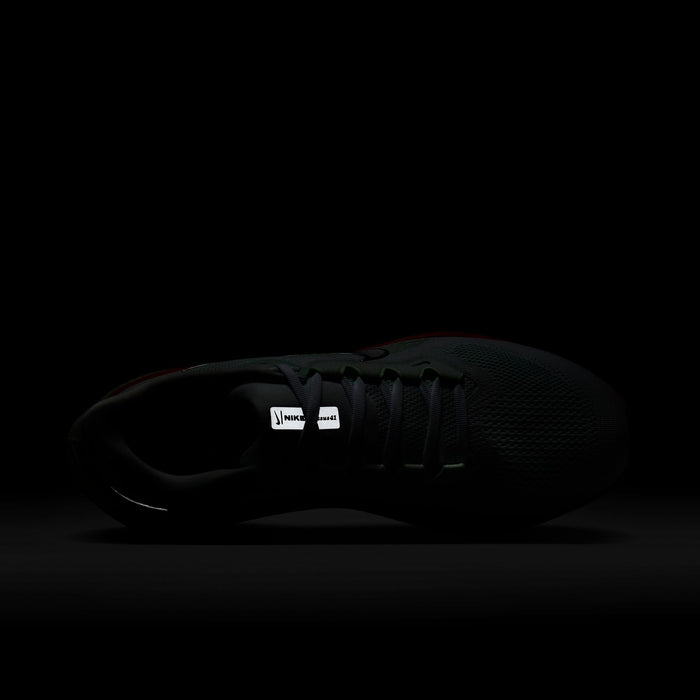 Men's Pegasus 41 (115 - White/Metallic Silver-Barely Green)