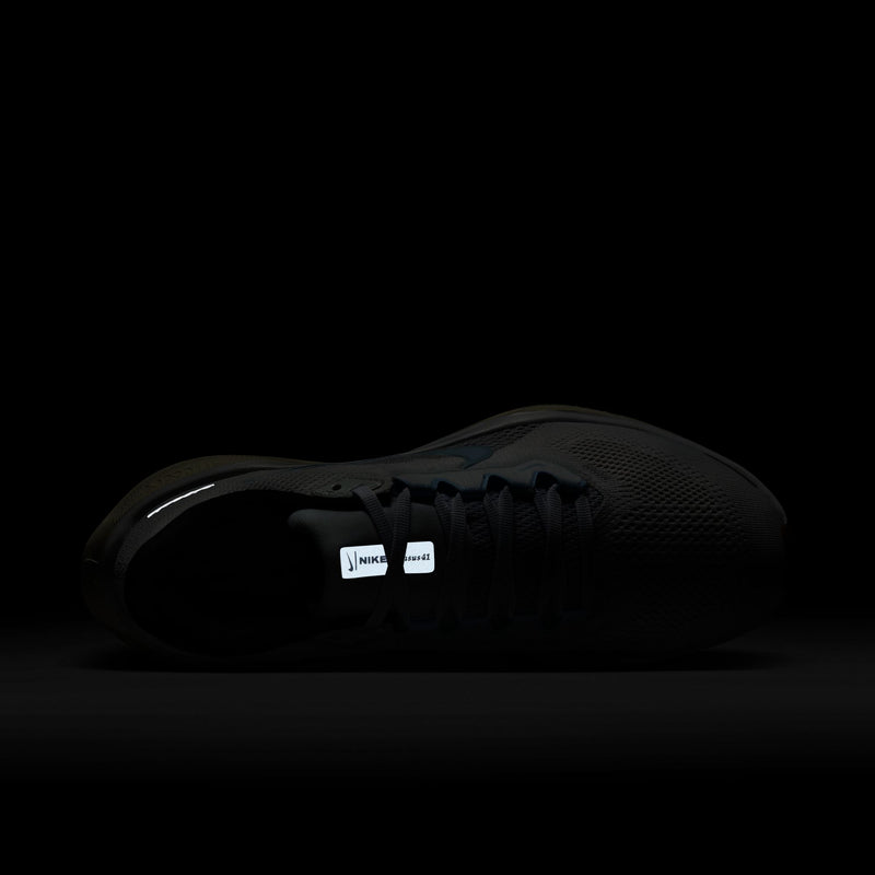 Women's Pegasus 41 (112 - White/Blue Tint-Sail-Metallic Silver)