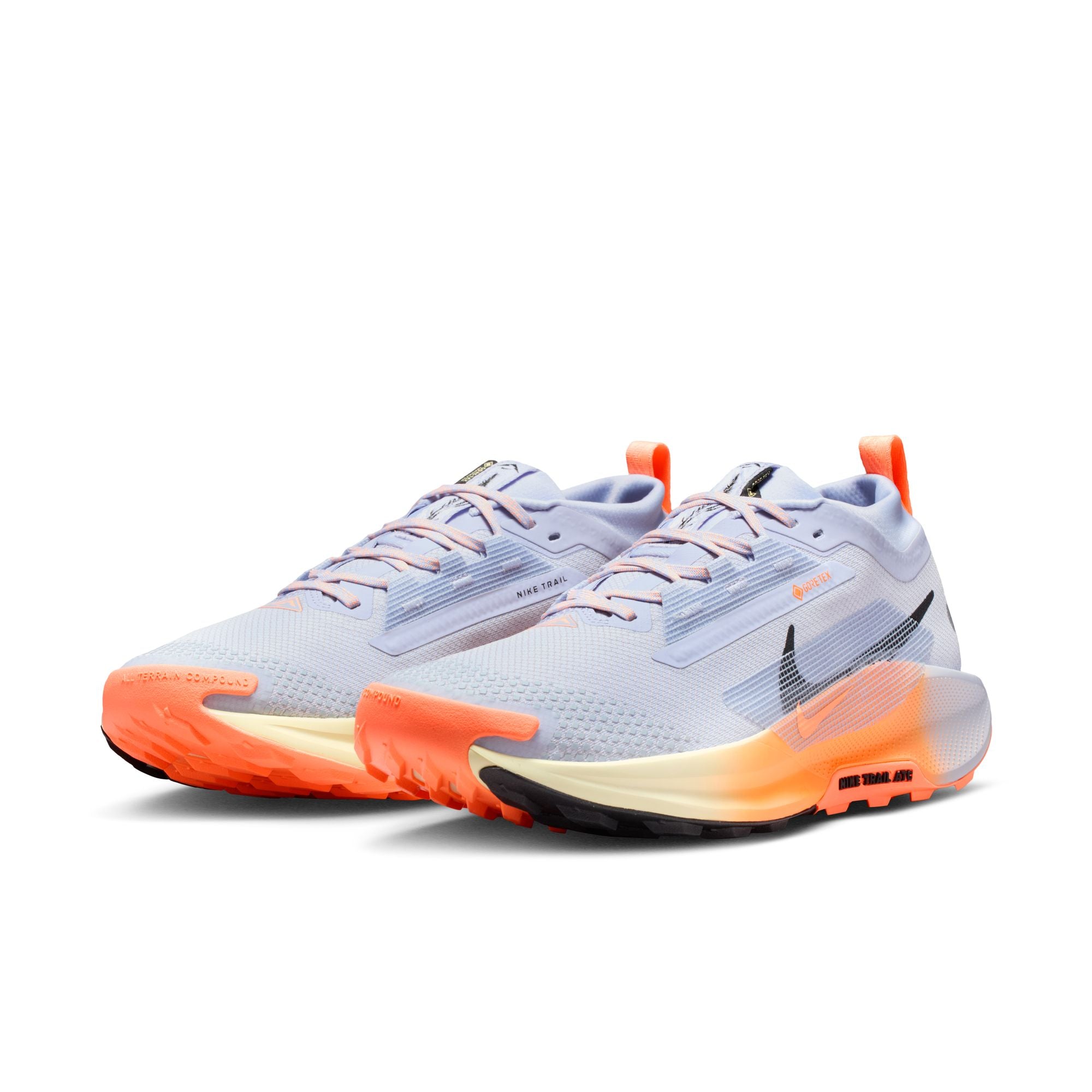 Men's React Pegasus Trail 5 GORE-TEX (011 - Ghost/Black-Malt