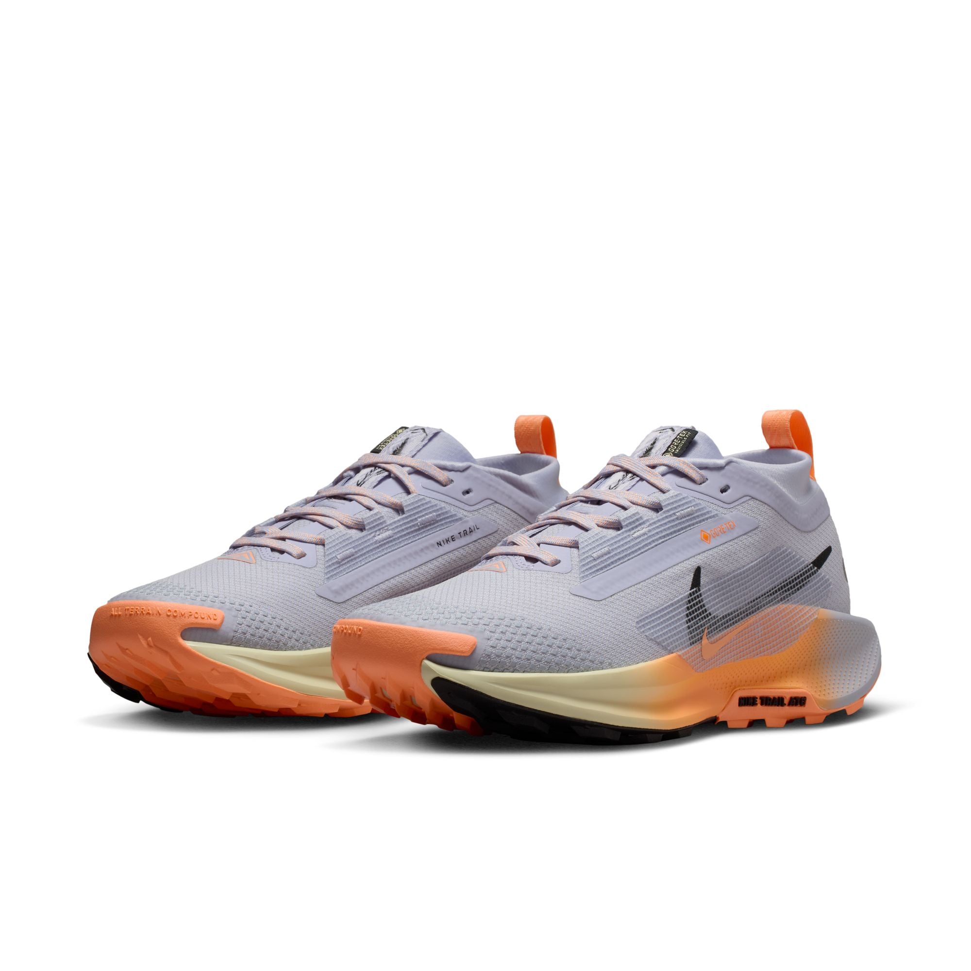 Women's React Pegasus Trail 5 GORE-TEX (011 - Ghost/Black-Malt