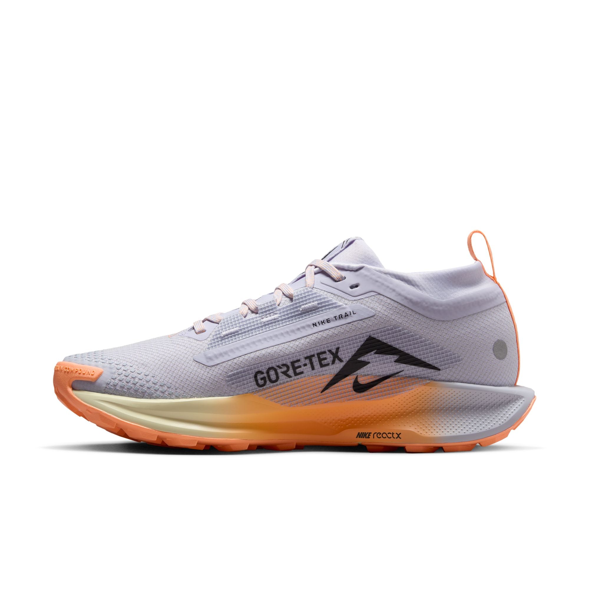 Women's React Pegasus Trail 5 GORE-TEX (011 - Ghost/Black-Malt