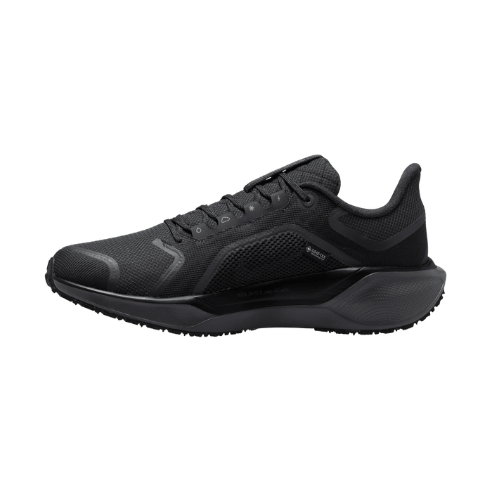 Men's Air Zoom Pegasus 41 GORE-TEX (001 - Black/Black-Anthracite)