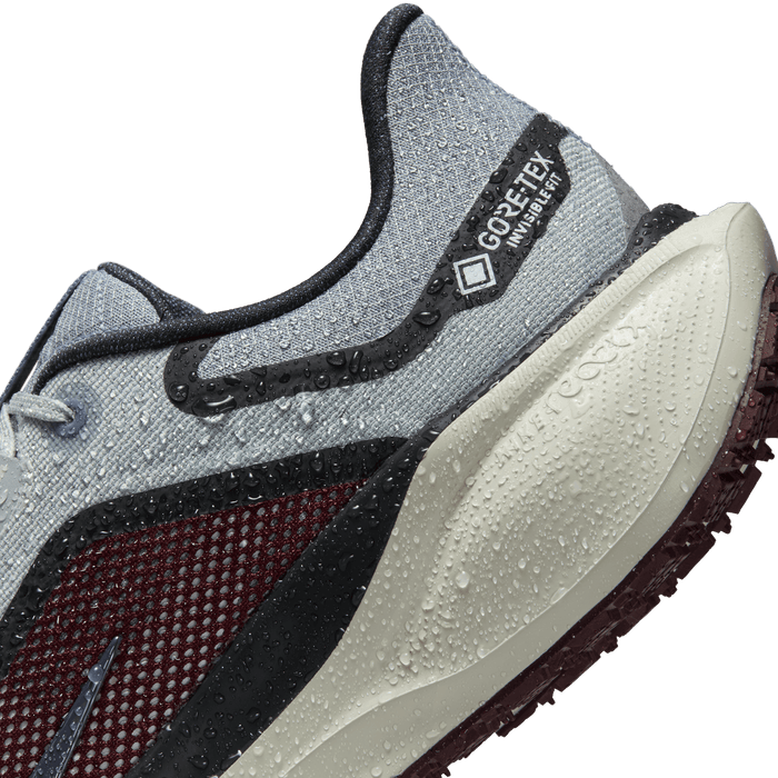 Men's Air Zoom Pegasus 41 GORE-TEX (003 - Light Pumice/Ashen Slate-Burgundy Crush)