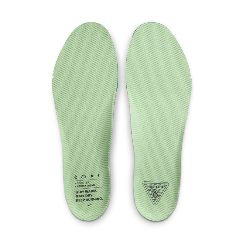 Men's Pegasus 41 GORE-TEX (006 - Cannon/Volt-Obsidian-Seaweed)