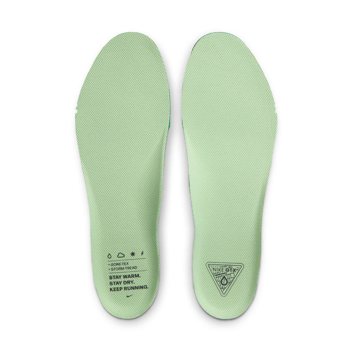 Men's Pegasus 41 GORE-TEX (006 - Cannon/Volt-Obsidian-Seaweed)