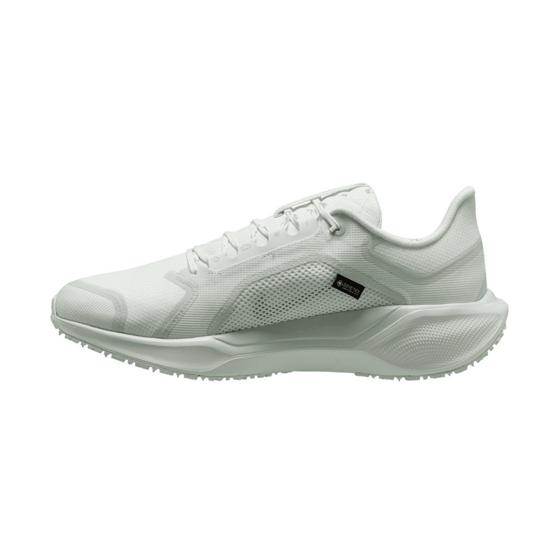 Men's Pegasus 41 GORE-TEX (101 - Summit White/White-Photon Dust-Off White)