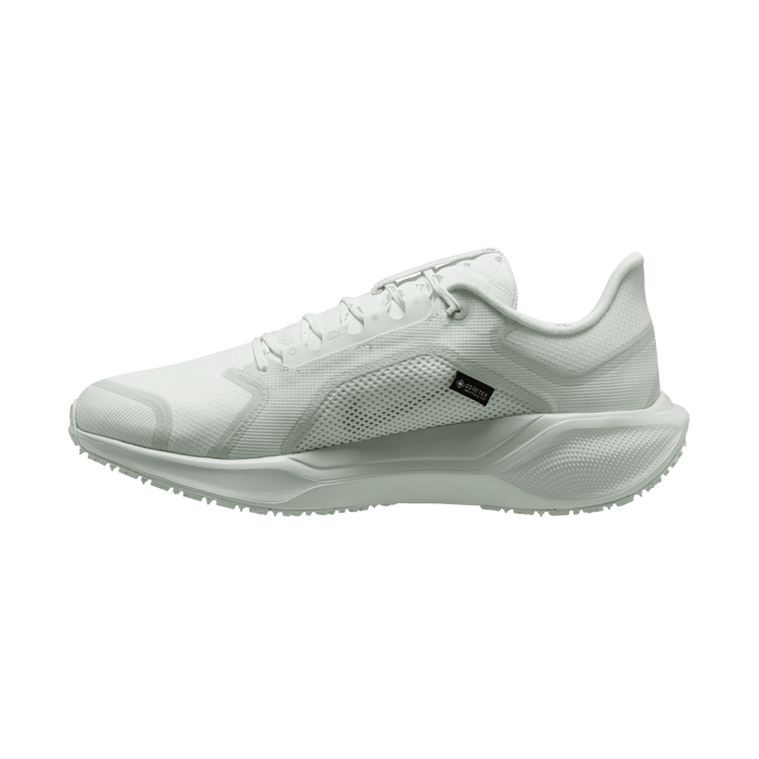 Men's Air Zoom Pegasus 41 GORE-TEX (101 - Summit White/White-Photon Dust-Off White)