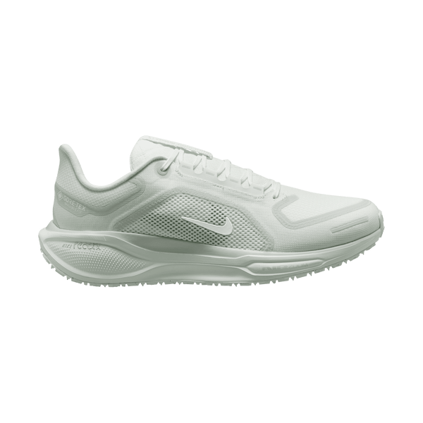 Men's Pegasus 41 GORE-TEX (101 - Summit White/White-Photon Dust