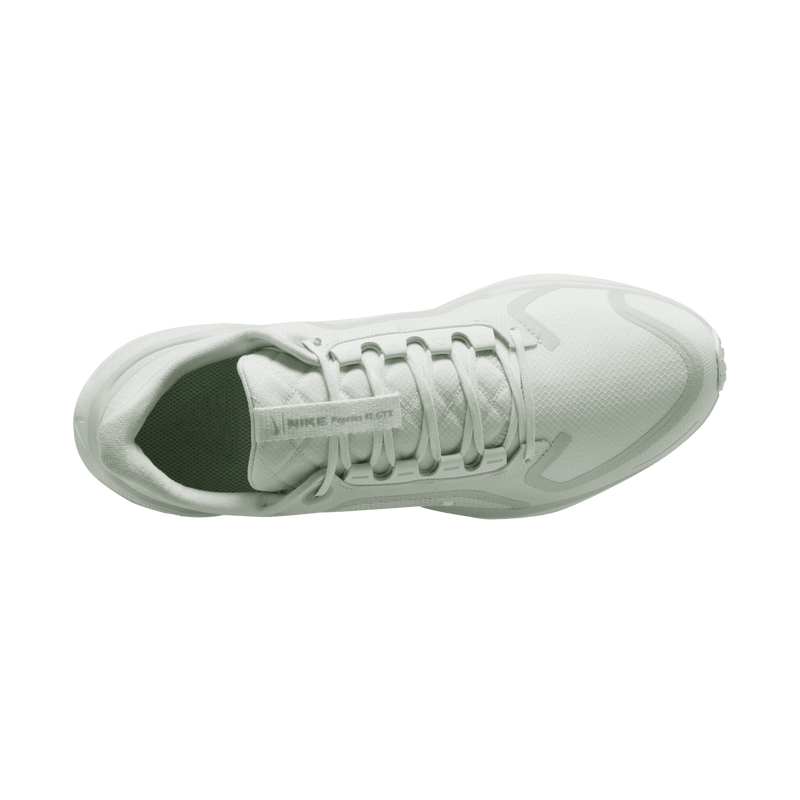 Men's Pegasus 41 GORE-TEX (101 - Summit White/White-Photon Dust-Off White)