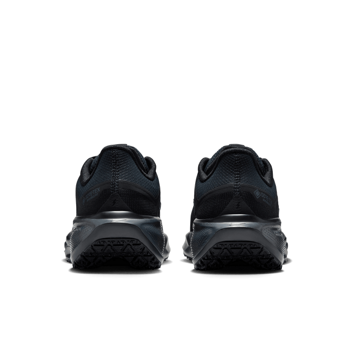 Women's Air Zoom Pegasus 41 GORE-TEX (001 - Black/Black-Anthracite)