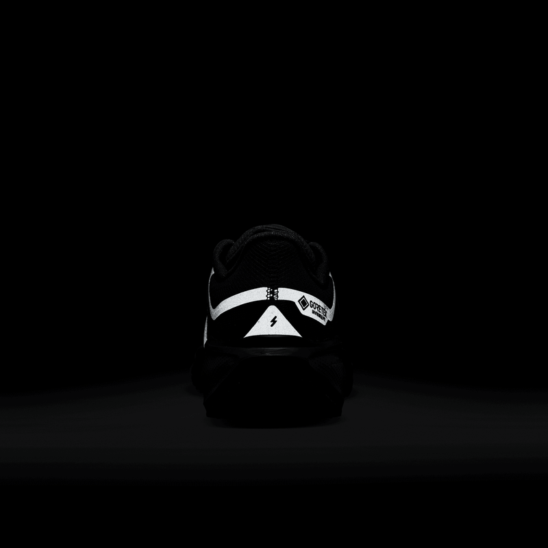 Women's Pegasus 41 GORE-TEX (001 - Black/Black-Anthracite)