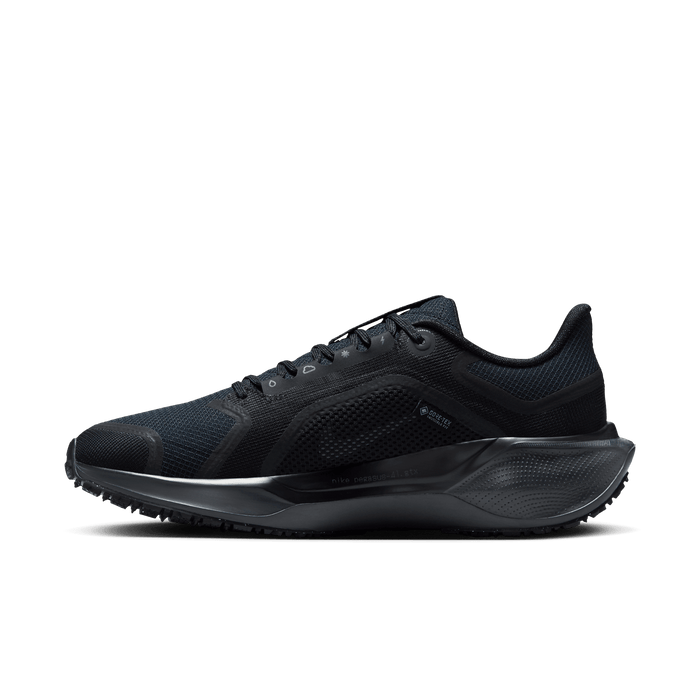 Women's Air Zoom Pegasus 41 GORE-TEX (001 - Black/Black-Anthracite)