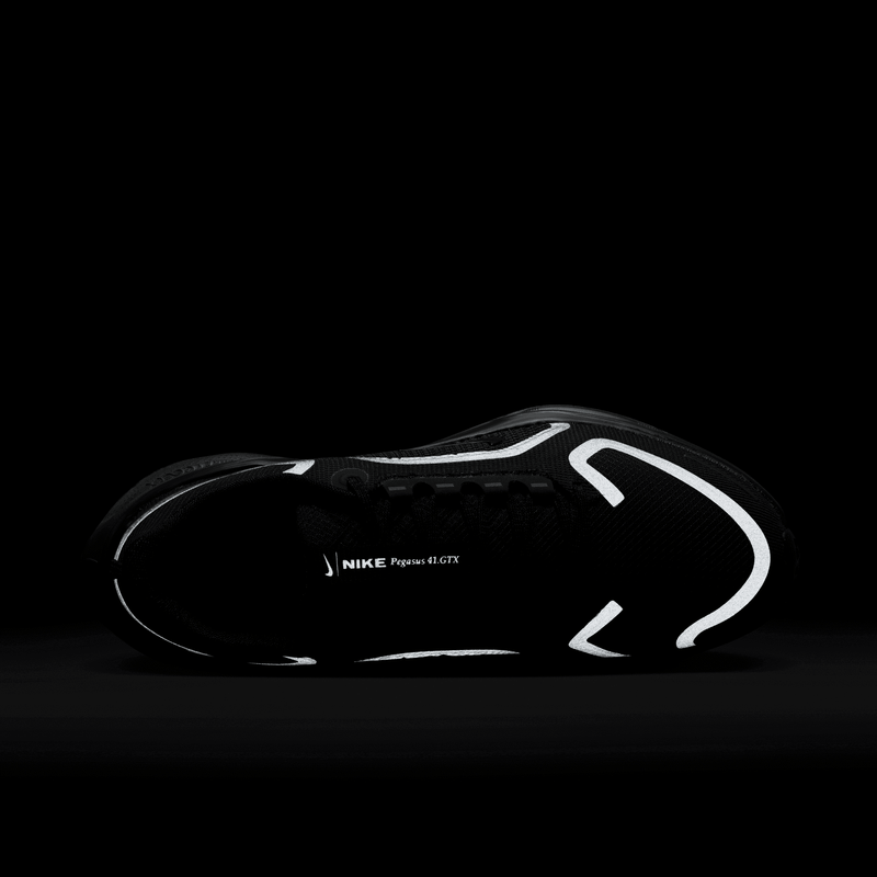 Women's Pegasus 41 GORE-TEX (001 - Black/Black-Anthracite)