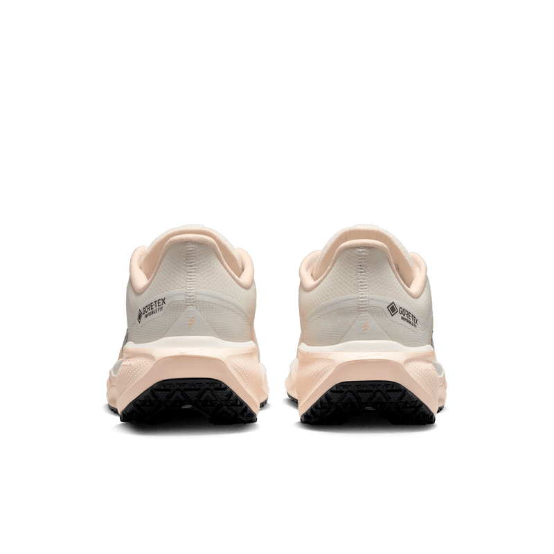 Women's Pegasus 41 GORE-TEX (100 - Sail/Anthracite-Guava Ice-Crimson Tint)