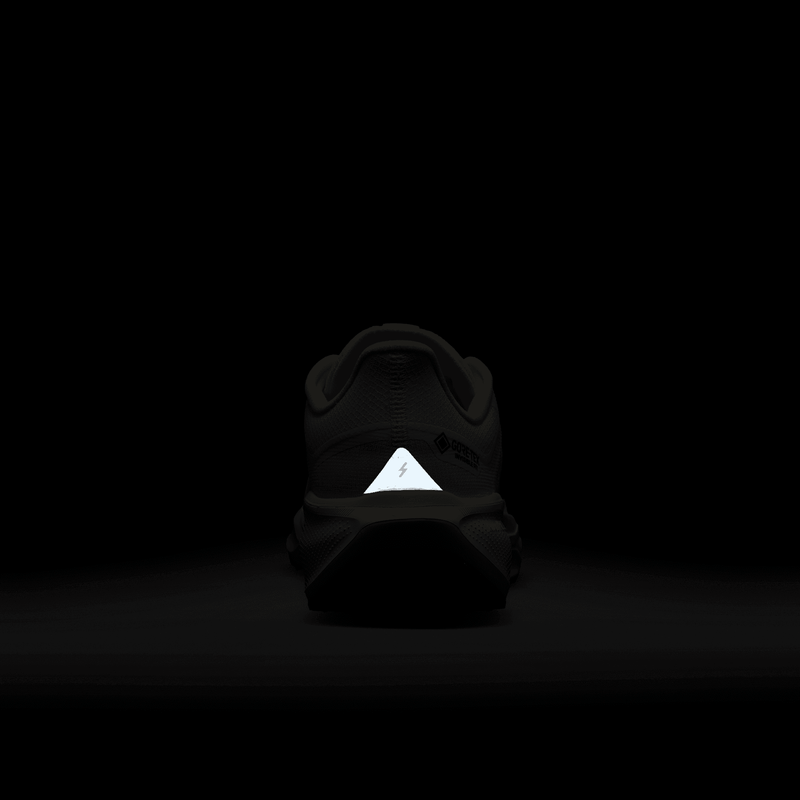 Women's Pegasus 41 GORE-TEX (100 - Sail/Anthracite-Guava Ice-Crimson Tint)