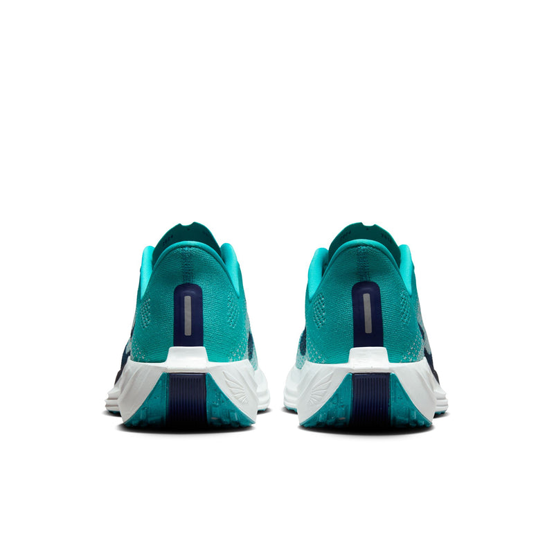 Men’s Pegasus Plus (301 - Dusty Cactus/Blue Void-Glacier Blue)