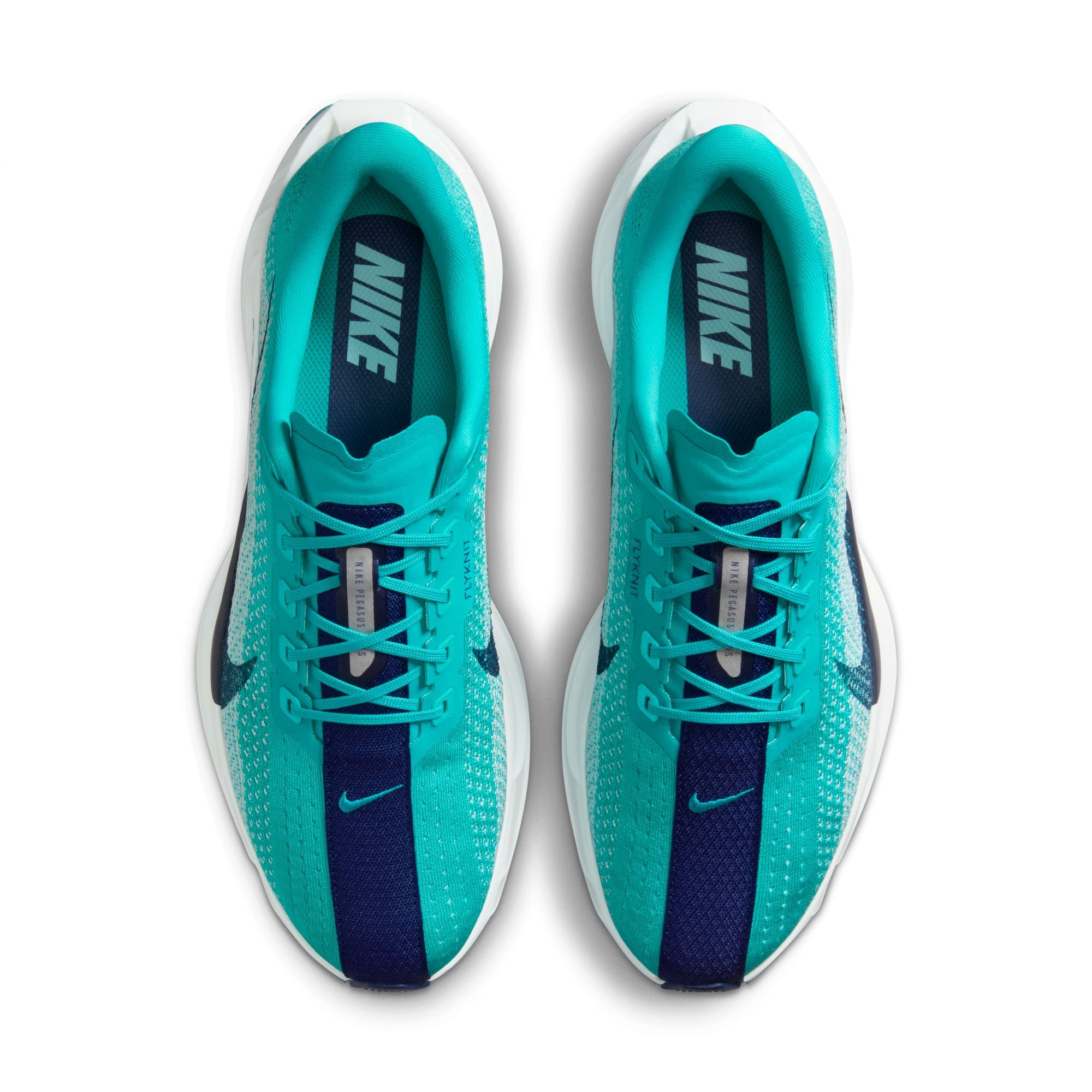 Men's Pegasus Plus (301 - Dusty Cactus/Blue Void-Glacier Blue