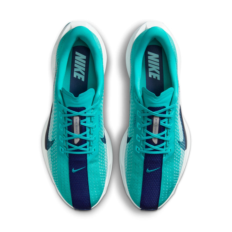 Men’s Pegasus Plus (301 - Dusty Cactus/Blue Void-Glacier Blue)