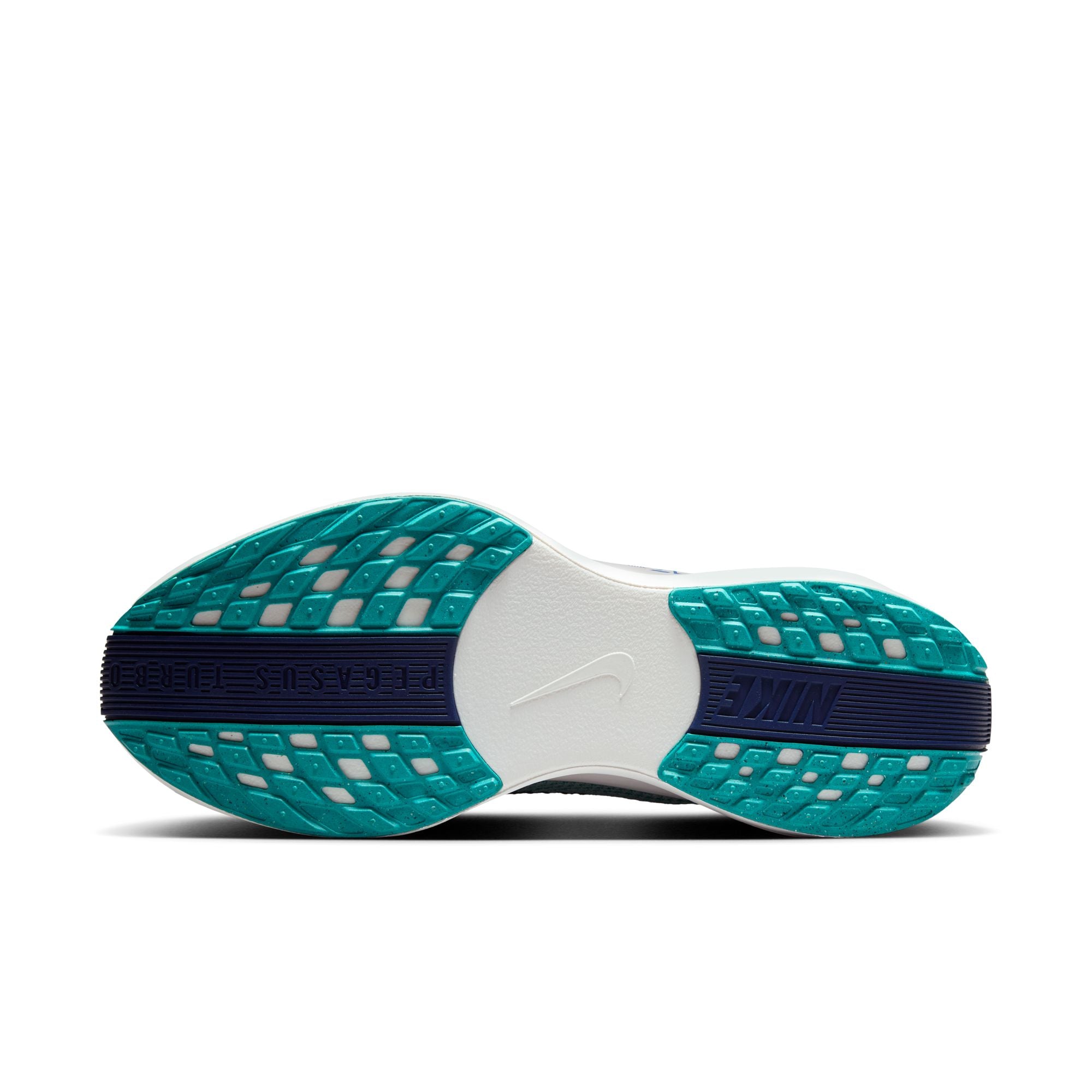 Men's Pegasus Plus (301 - Dusty Cactus/Blue Void-Glacier Blue