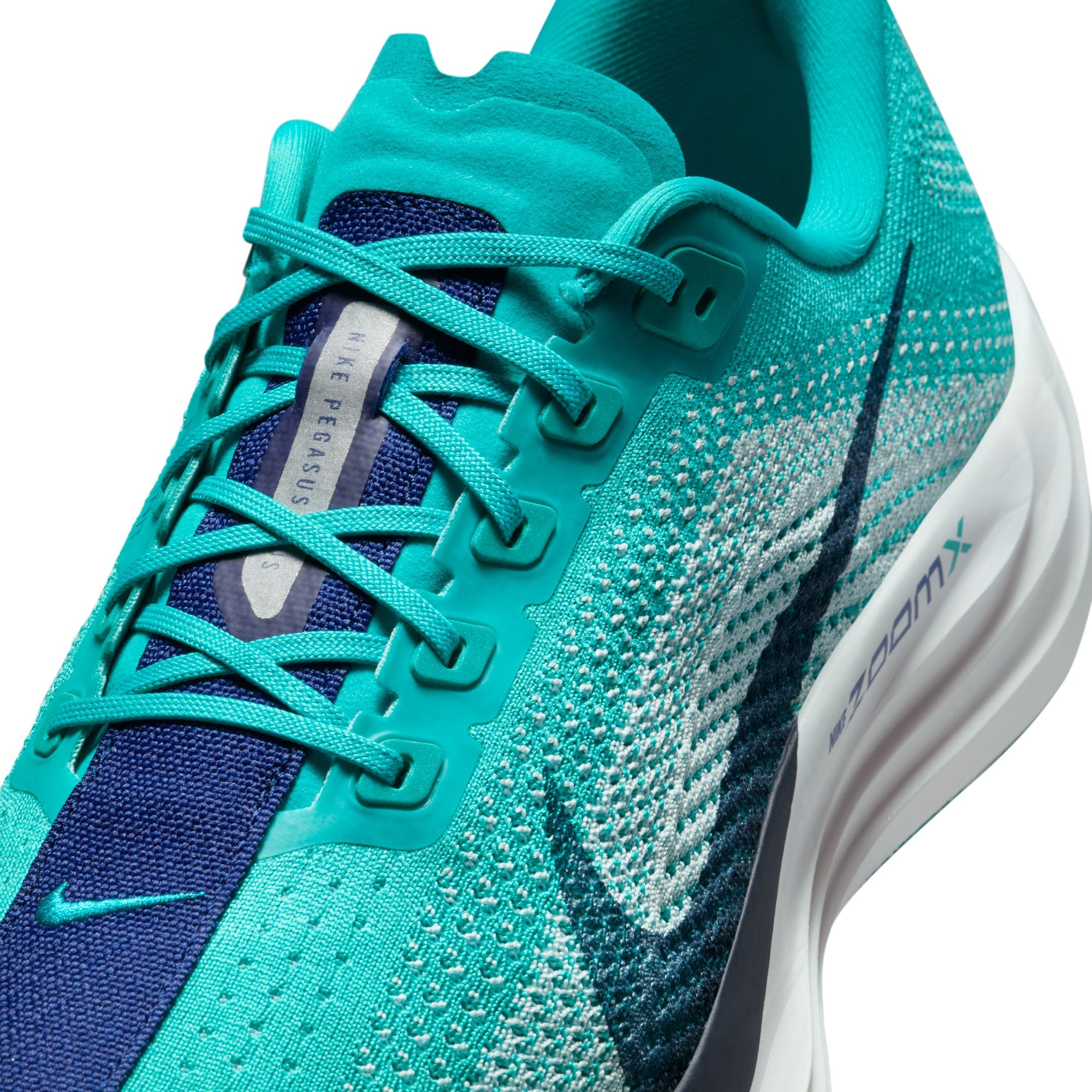 Men's Pegasus Plus (301 - Dusty Cactus/Blue Void-Glacier Blue