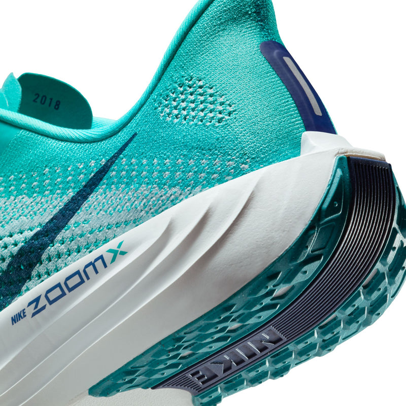 Men’s Pegasus Plus (301 - Dusty Cactus/Blue Void-Glacier Blue)