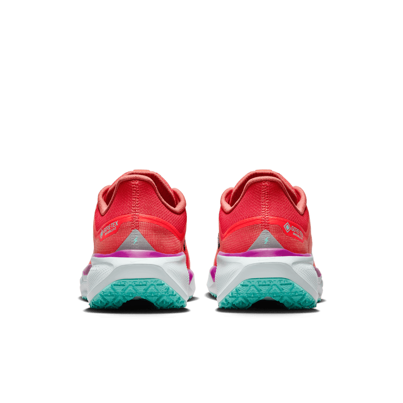 Men's Pegasus 41 GORE-TEX (600 - Picante Red/Green Frost-Bright Crimson)