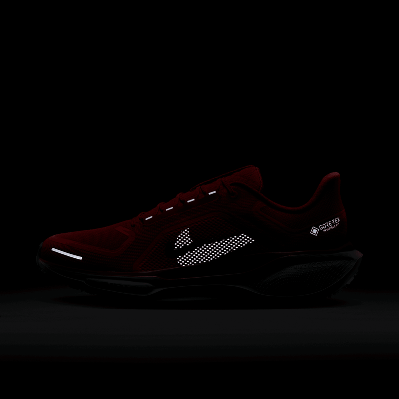 Men's Pegasus 41 GORE-TEX (600 - Picante Red/Green Frost-Bright Crimson)