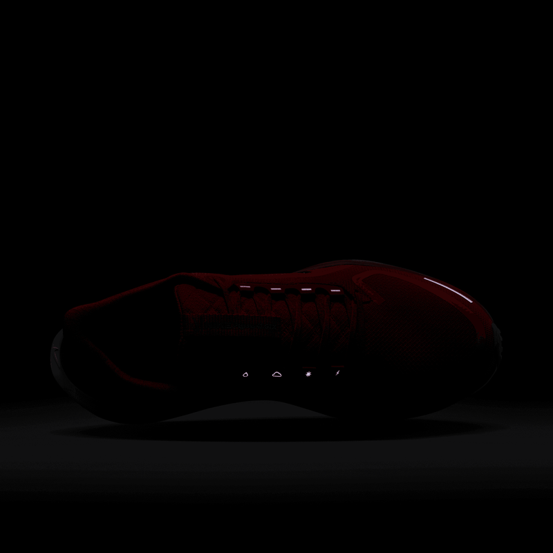 Men's Pegasus 41 GORE-TEX (600 - Picante Red/Green Frost-Bright Crimson)