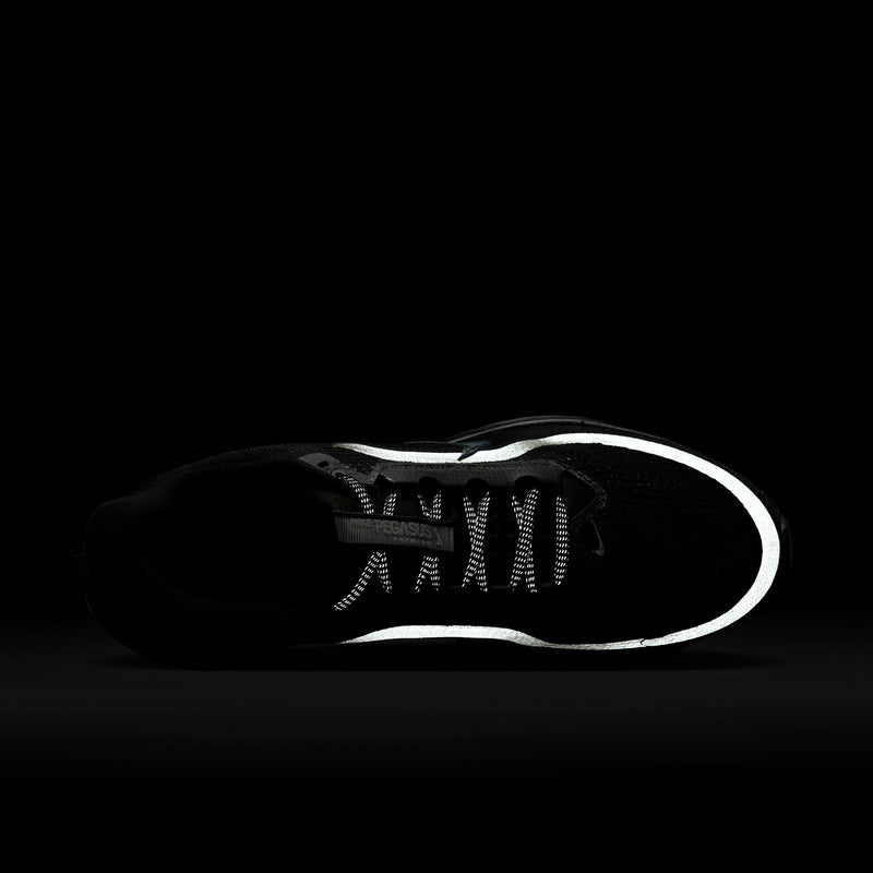 Men's Pegasus Premium (005 - Black/Black-Metallic Silver)