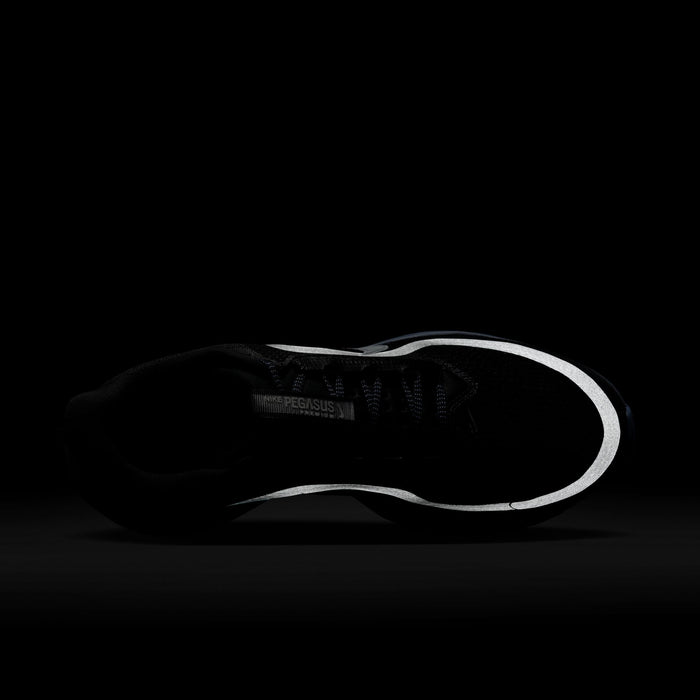 Men's Pegasus Premium (006 - Anthracite/Pure Platinum-Ashen Slate)