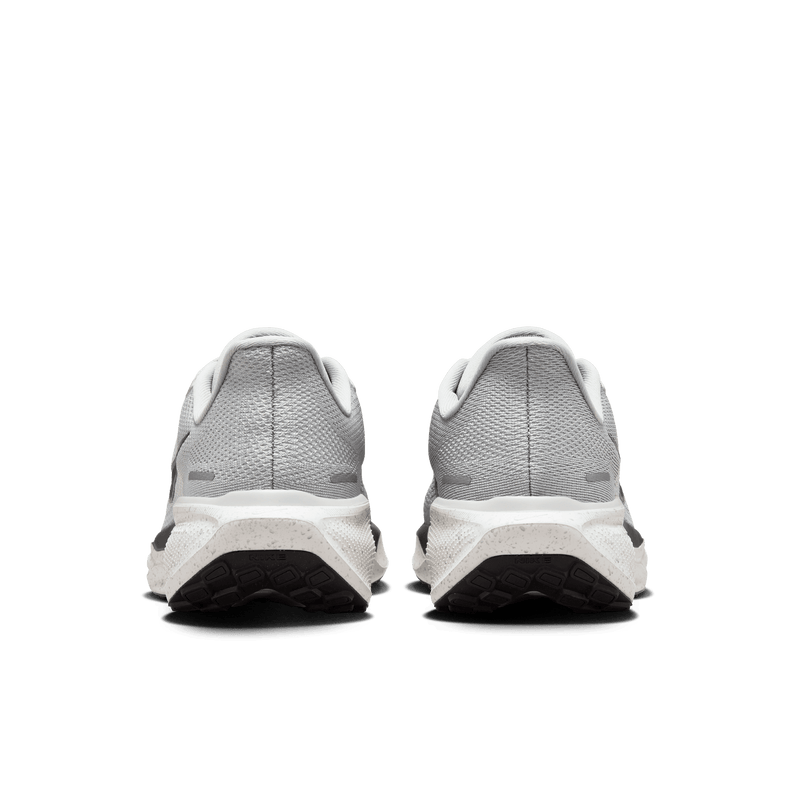 Women's Pegasus 41 (077 - LT Smoke Grey/Black-Platinum Tint)