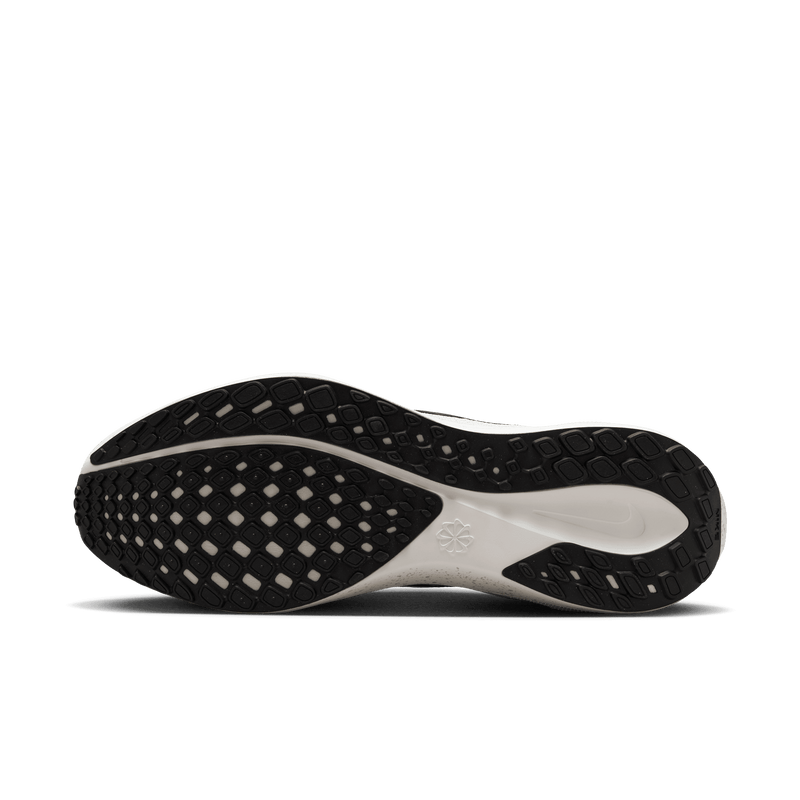 Women's Pegasus 41 (077 - LT Smoke Grey/Black-Platinum Tint)