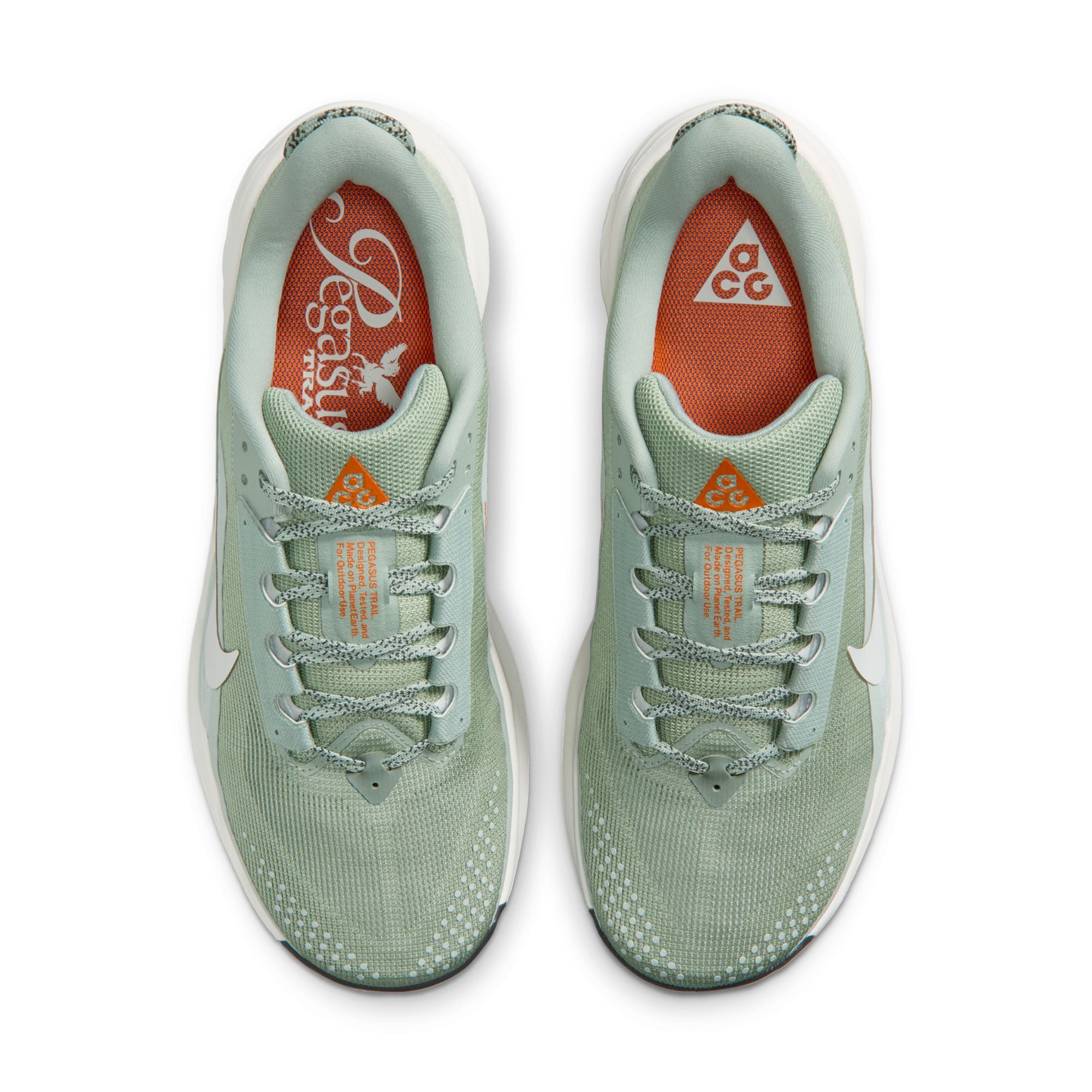Men's ACG Pegasus Trail (310 - Jade Horizon/Phantom-Light Silver