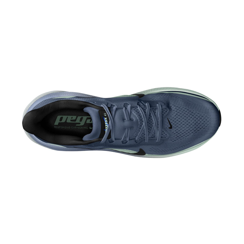 Men's Pegasus 42 (Dark Slate/Black-Grey Mist-Racer Blue)