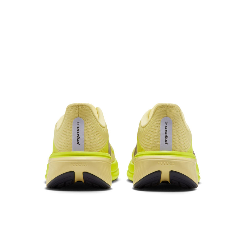 Women's Pegasus 42 (Fennel/Gridiron-Palest Purple)