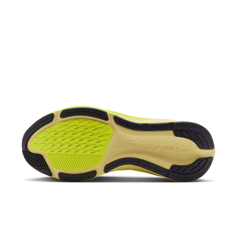 Women's Pegasus 42 (Fennel/Gridiron-Palest Purple)