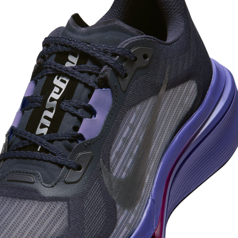 Women’s Pegasus Plus 2 (Gridiron/Metallic Silver-Persian Violet)