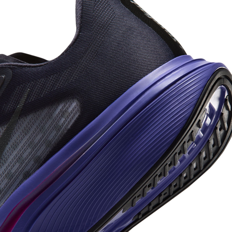 Women’s Pegasus Plus 2 (Gridiron/Metallic Silver-Persian Violet)